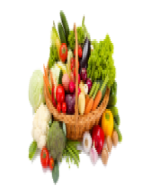 الزراعة والأغذية